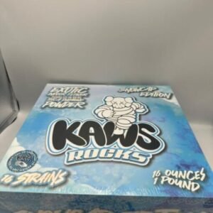 Kaws Rocks Snowcap Edition