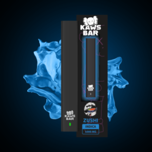 Kaws Bar Zushi